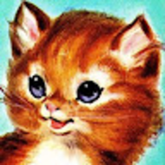 Meet your Posher, Jessie - Picture 1 of 1